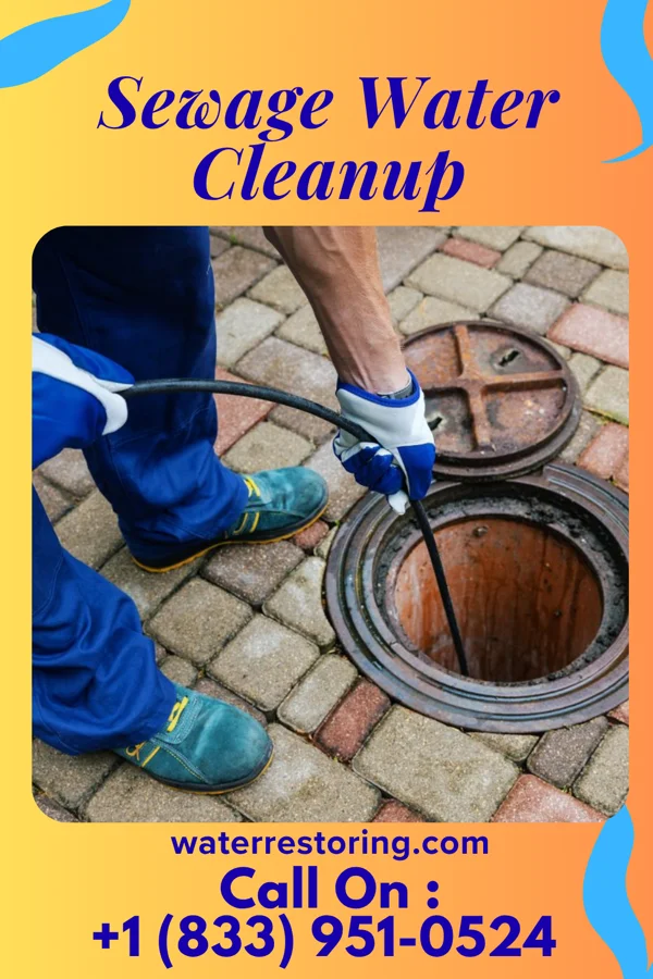 Sewage Water Cleanup in Hogansville, GA