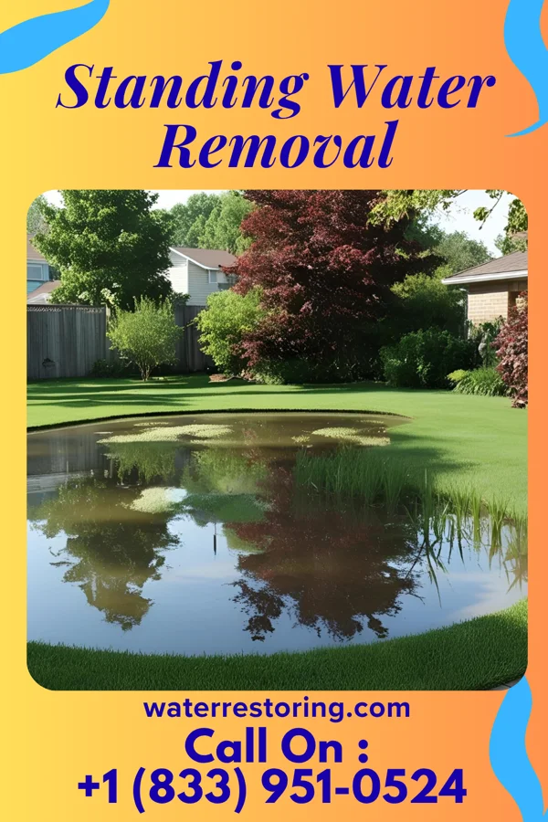 Standing Water Removal in Hogansville, GA